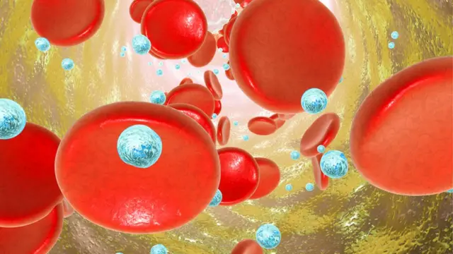 ذرات نانو در خون و در میان گلبول‌های قرمز
