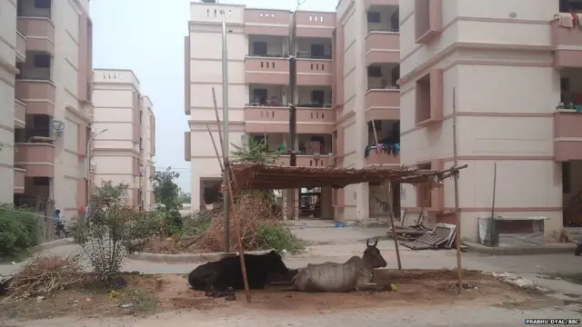 ਥੇਹ ਤੋਂ ਉੱਜੜਕੇ ਆਏ ਪਰਿਵਾਰ ਇਨ੍ਹਾਂ ਫ਼ਲੈਟਾਂ 'ਚ ਰਹਿ ਰਹੇ ਹਨ