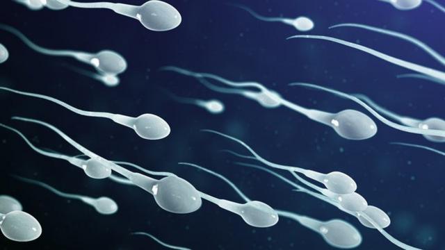 Premature ejaculation and low sperm count cause for men and wetin