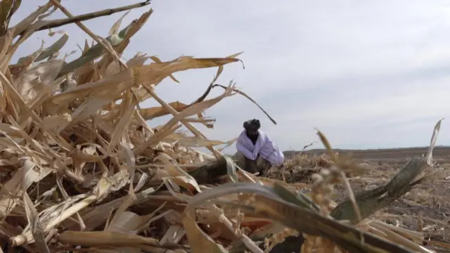 Dehqon qurigan dalasida o'tiradi