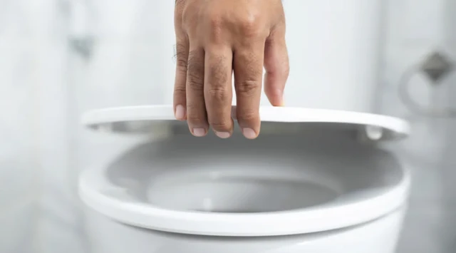 ਟਾਇਲਟ ਸੀਟ