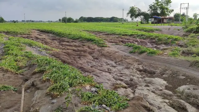 જુનાગઢ મગફળી અને કપાસનો પાક ધોવાયો