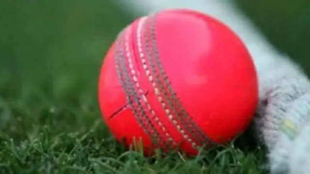 ක්‍රිකට්