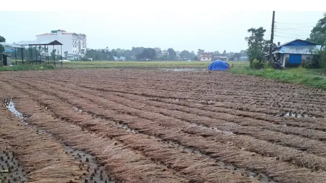 खेतीमा नोक्सानी