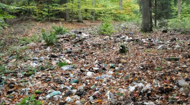 Скривени на видику, у усамљеном делу пољске шуме, леже фрагменти некада тајних живота