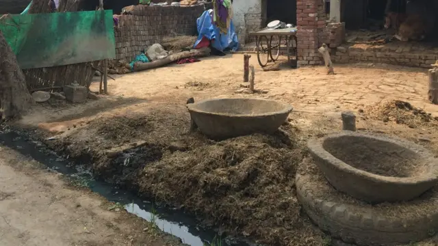 इंसेफ़ेलाइटिस