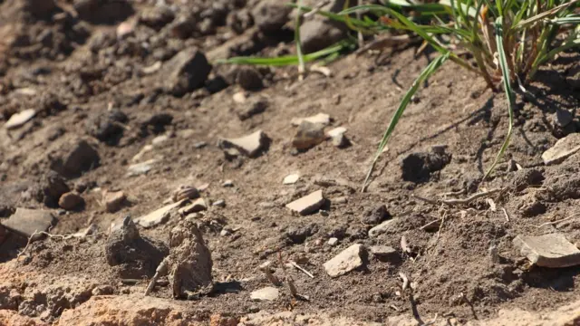 Fragmentos arqueológicossportingbet dicas de apostasterra preta, removidos pela terraplanagem