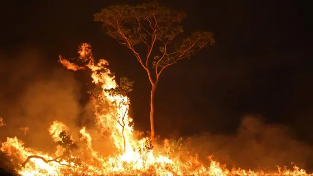 Incêndio na Amazônia