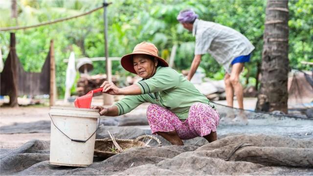 Les villageois récoltent le guano, un engrais populaire au Cambodge et en Thaïlande, mais qui comporte des risques