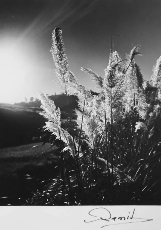 Reflets du coucher du soleil à Soavinandriana