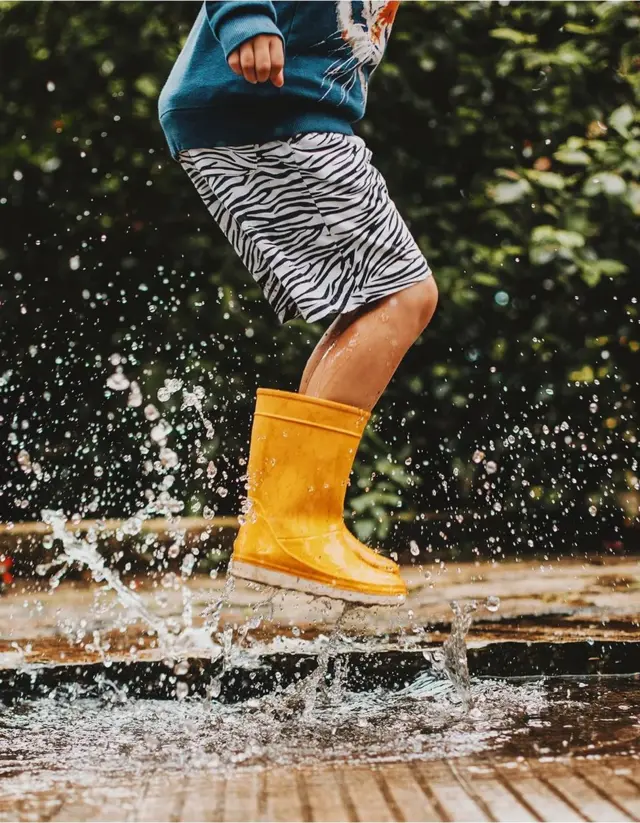 天然橡胶具有许多优良的物理特性，比如很强的弹性和防水性能，是人类所需的无价宝贵资源。