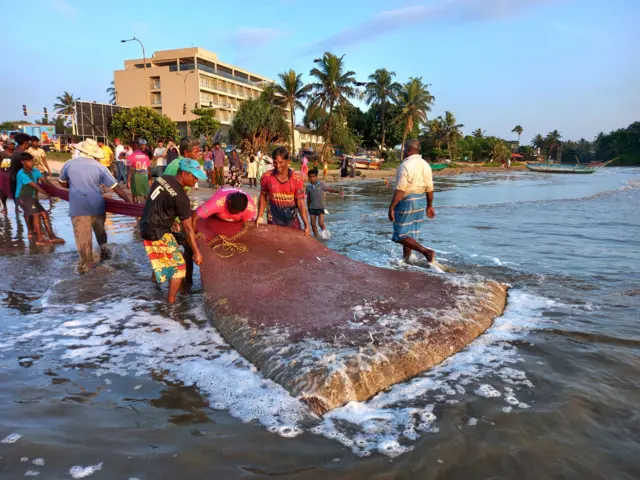 දැලට කොටුවන මාළු අන්තිමේ නවතින්නේ ඇස් පුංචි මඩියේය.