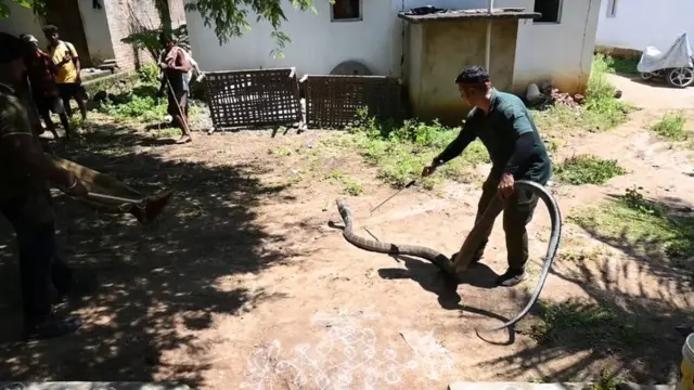 ఈస్టర్న్ ఘాట్ వైల్డ్ లైఫ్ సొసైటీ ప్రతినిధులు
