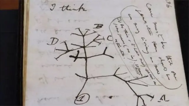 డార్విన్ పరిణామ క్రమ సిద్ధాంతాన్ని అభివృద్ధి చేయడంలో ‘ద ట్రీ ఆఫ్ లైఫ్ స్కెచ్’ చాలా ఉపయోగపడింది