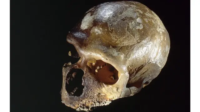 قدیم دور کے انسان