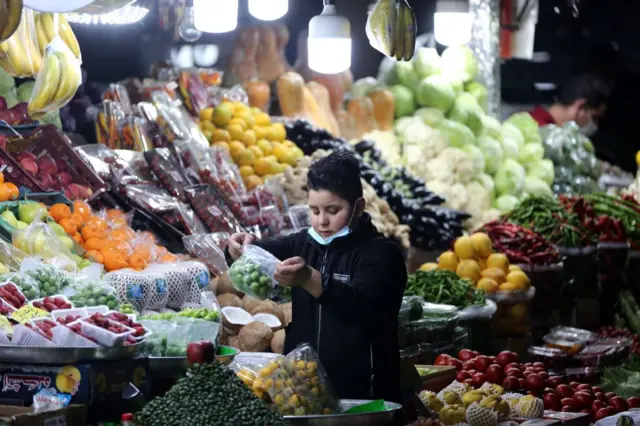 گروه سبزیجات (هویج فرنگی، کاهو و قارچ)، گروه لبنیات و تخم مرغ