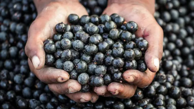 Duas mãos segurando um punhadovbet código promocional 2024açaí