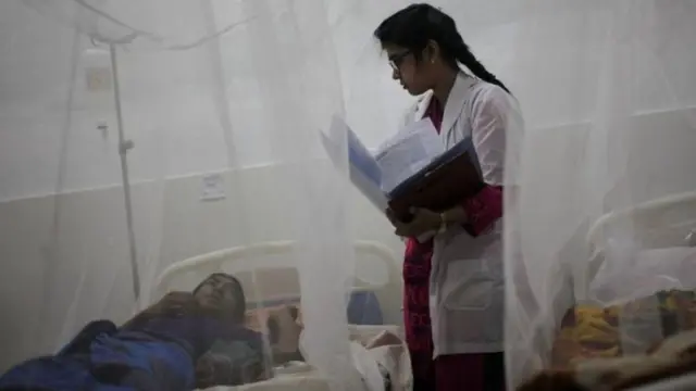 চলতি বছরের প্রথম আট মাসে ১০ হাজারের বেশি মানুষ ডেঙ্গু আক্রান্ত হয়ে হাসপাতালে ভর্তি হয়েছে।