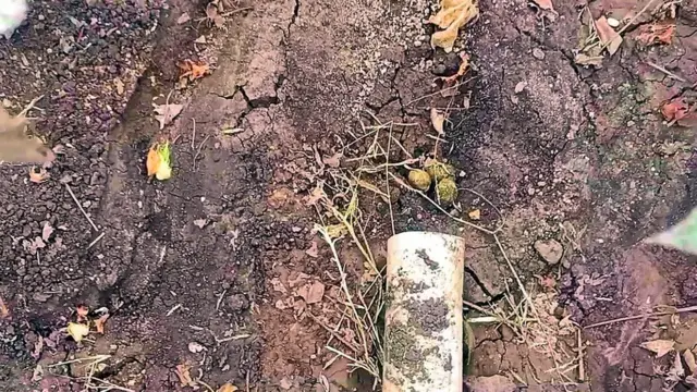 वीज, शेतकरी, महाराष्ट्र