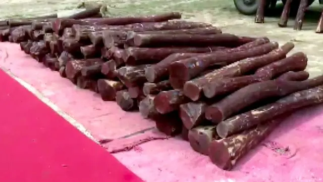 रक्तचंदन