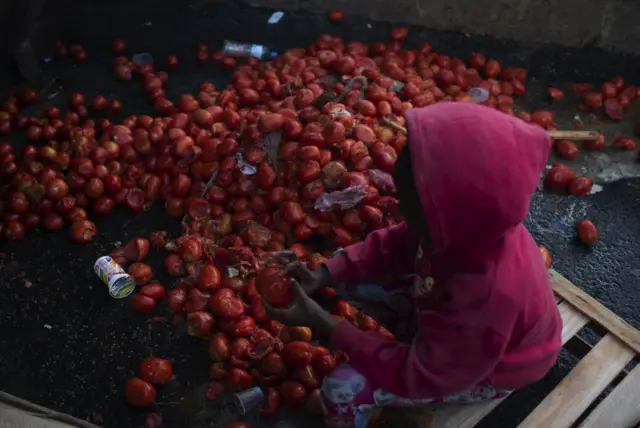 Criança busca tomates comestíveisnordeste futebol apostameio ao lixo no Rionordeste futebol apostaJaneironordeste futebol apostaagostonordeste futebol aposta2021