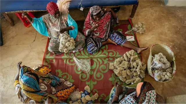 La culture des éponges de mer a aidé les femmes de Jambiani à s'affranchir de leur dépendance financière vis-à-vis des hommes.