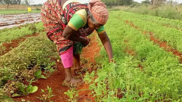 விவசாயி