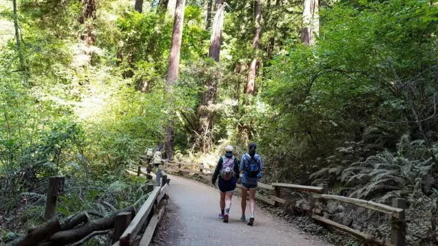 لماذا يؤدي المشي إلى تحسين صحتك وأدائك الوظيفي؟