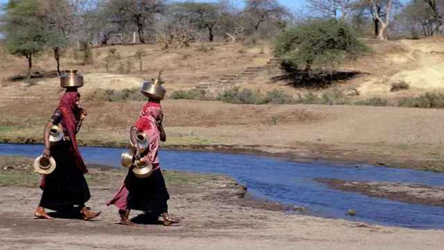 ગીર અભ્યારણ્ય