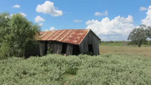 Construcción abandonada de aparceros en lo que era la plantación de los Weisiger y donde nació William Ellis.