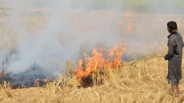 ਪਰਾਲੀ ਸਾੜਦਾ ਕਿਸਾਨ