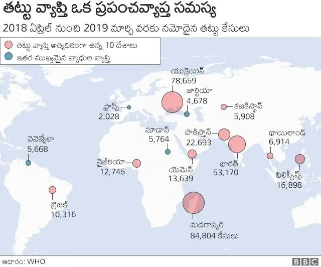 తట్టు కేసులు