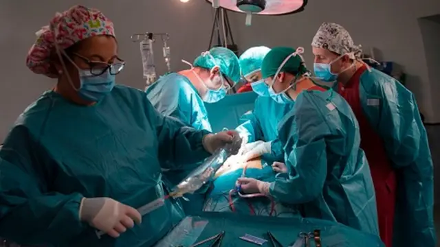 Transplatacija u Španiji