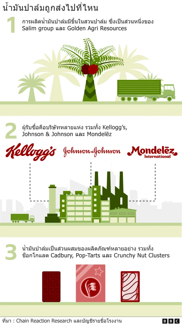 กราฟิกน้ำมันปาล์ม