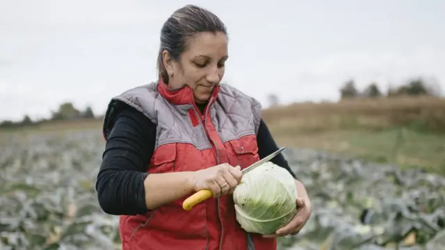 U ovakvim situacijama treba biti oprezan sa nožem