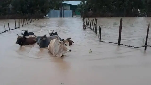 ሩባ ኣዋሽ ብምምልኡ 500 ስድራቤታት ካብ መንበሪኦም ተመዛቢሎም