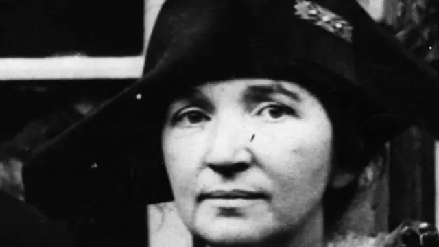 महात्मा गांधी, भारत