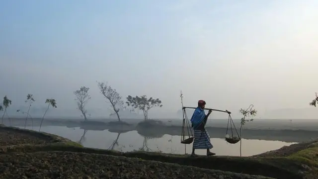 Sohilda uchta yalangoch fotosuratlar