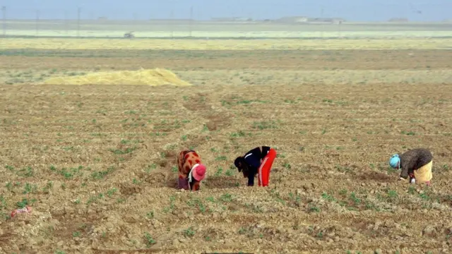 ፃህያይ ዘወግዳ ደቂ-ኣንስትዮ