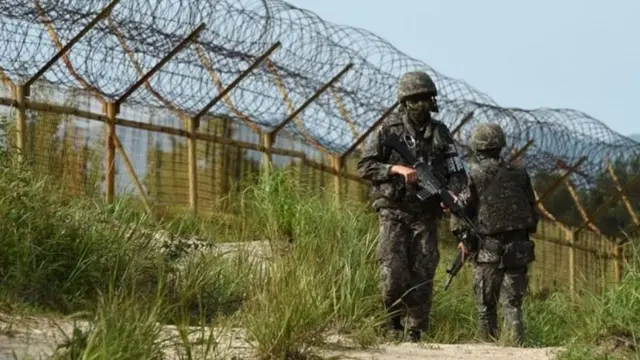 கொரிய நாடுகளின் எல்லையிலுள்ள 8,00,000 கண்ணிவெடிகளை நீக்கும் பணி தொடக்கம்