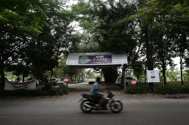 สวนบางขวด นวลจันทร์