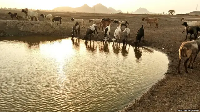 वागदर्डी धरण