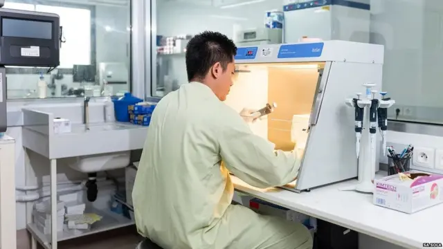 निपाह वायरस