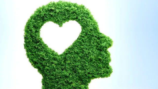 Cabeza en hojas con forma de corazón vacío