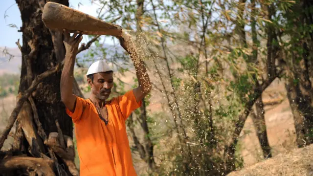 किसान सांकेतिक