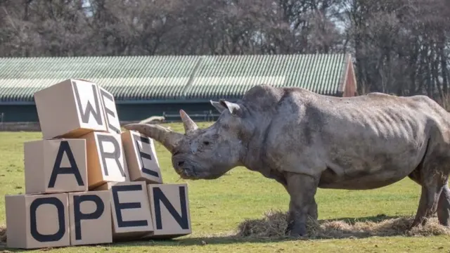 "Мы открыты": зоопарк в графстве Бедфордшир