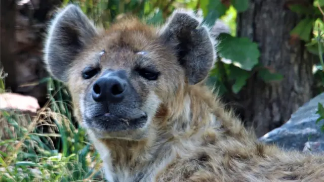 _121460060_8bc00edf-ffee-40bc-