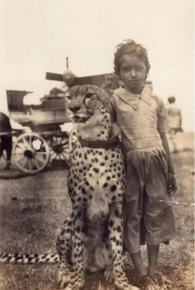 ચિત્તેવાન