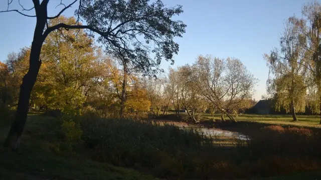 Парк