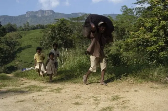 மலையகத் தமிழர்கள் இந்திய வம்சாவளியைச் சேர்ந்தவர்கள்.